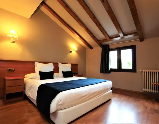 Attic Double Room